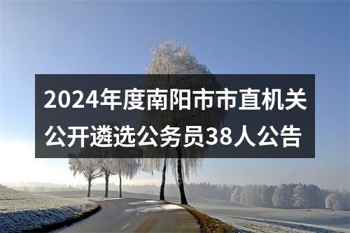 2024年度南阳市市直机关公开遴选公务员38人公告 图片
