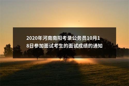 2020年河南南阳考录公务员10月18日参加面试考生的面试成绩的通知 图片