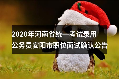 2020年河南省统一考试录用公务员安阳市职位面试确认公告 图片