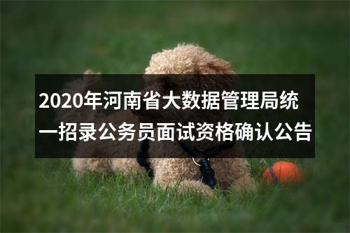 2020年河南省大数据管理局统一招录公务员面试资格确认公告 图片
