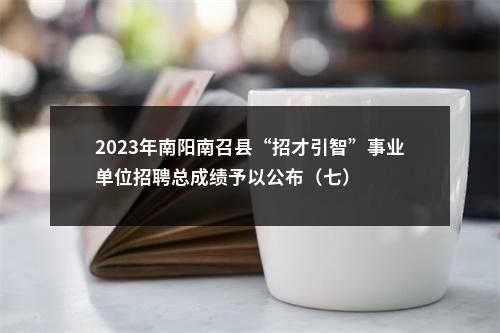 2023年南阳南召县“招才引智”事业单位招聘总成绩予以公布（七） 图片
