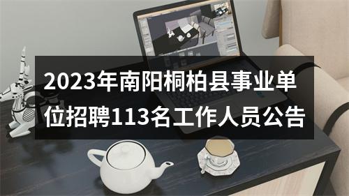 2023年南阳桐柏县事业单位招聘113名工作人员公告 图片