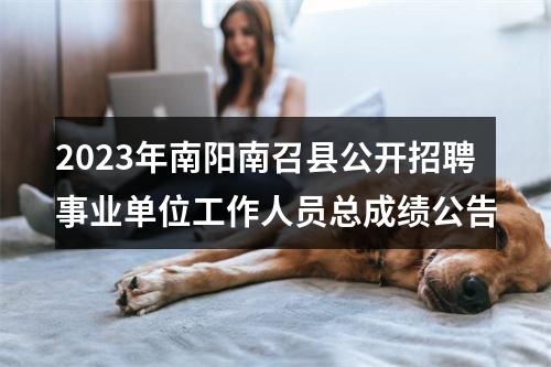 2023年南阳南召县公开招聘事业单位工作人员总成绩公告 图片