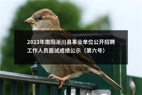 2023年南阳淅川县事业单位公开招聘工作人员面试成绩公示（第六号） 图片