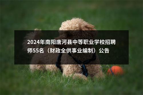 2024年南阳唐河县中等职业学校招聘师55名（财政全供事业编制）公告 图片