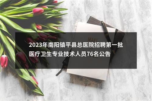 2023年南阳镇平县总医院招聘第一批医疗卫生专业技术人员76名公告 图片