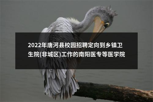 2022年唐河县校园招聘定向到乡镇卫生院(非城区)工作的南阳医专等医学院校毕业生50人公告 图片