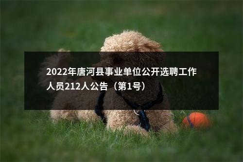 2022年唐河县事业单位公开选聘工作人员212人公告（第1号） 图片